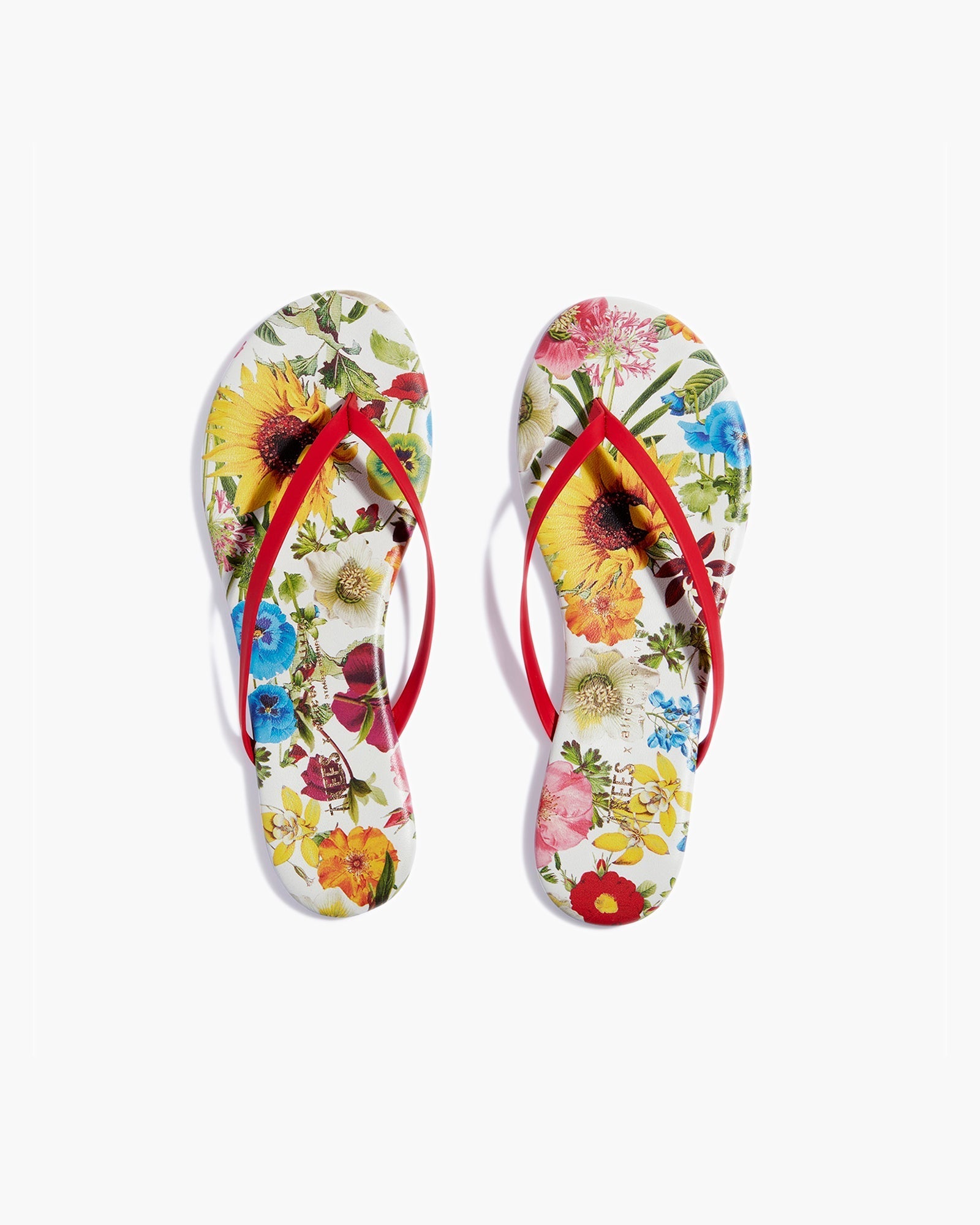 TKEES TKEES x Alice + Olivia Lily Flip Flops Damen Mehrfarbig | PKSDMUH-46